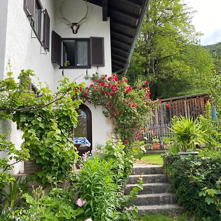 Ferienwohnung Laimer, Radau 37 Saint Wolfgang 외부 사진
