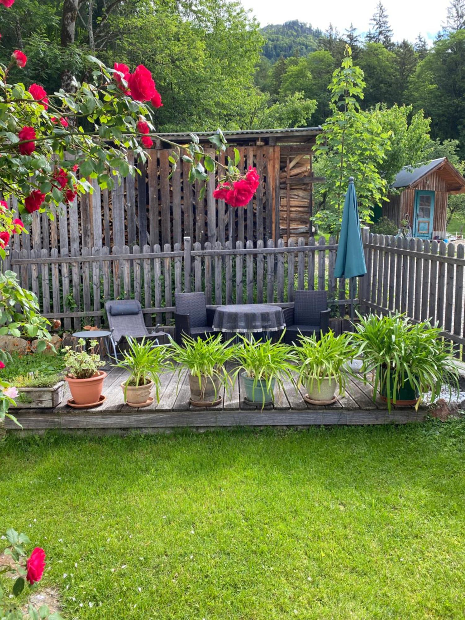 Ferienwohnung Laimer, Radau 37 Saint Wolfgang 외부 사진