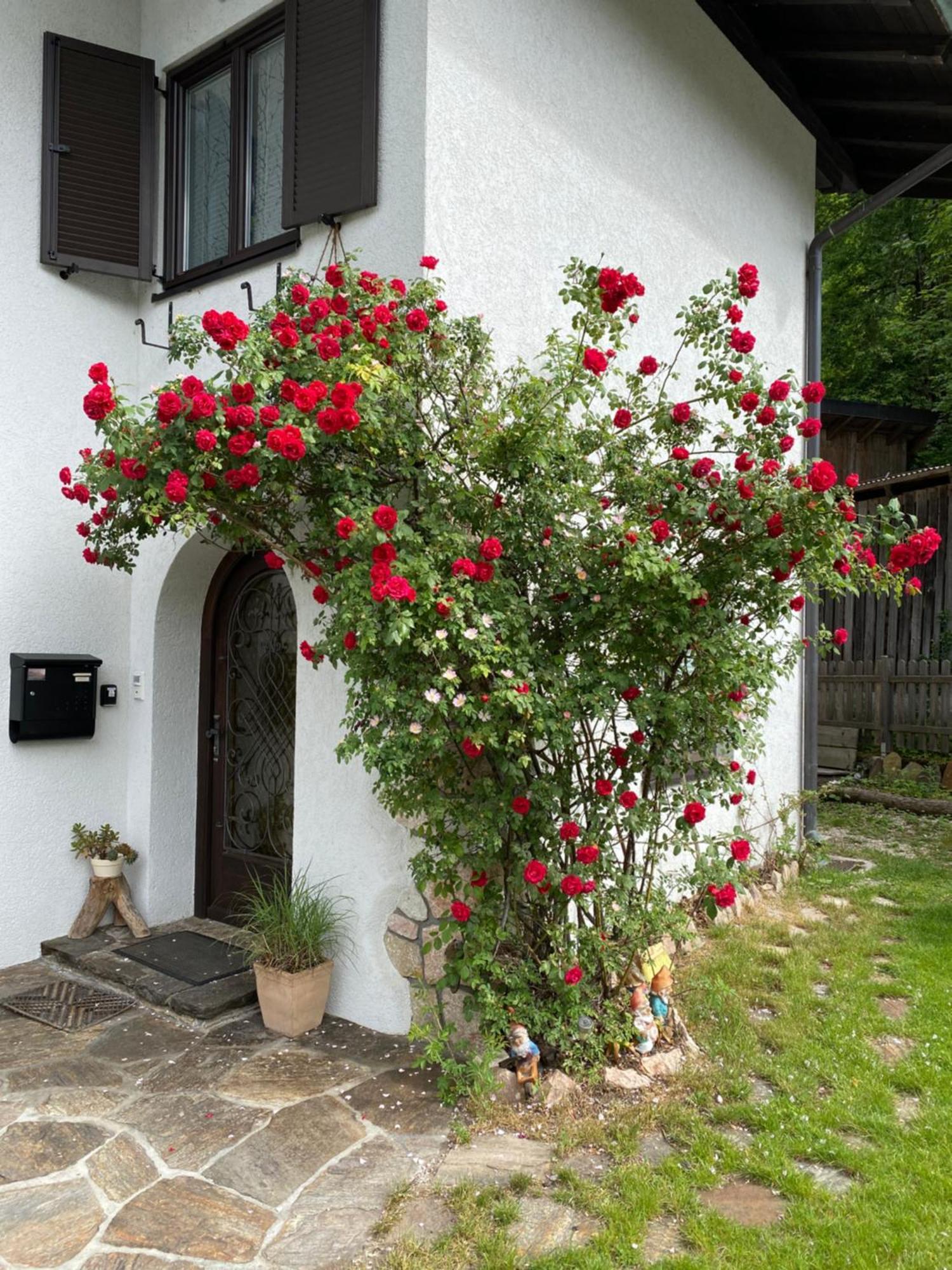 Ferienwohnung Laimer, Radau 37 Saint Wolfgang 외부 사진