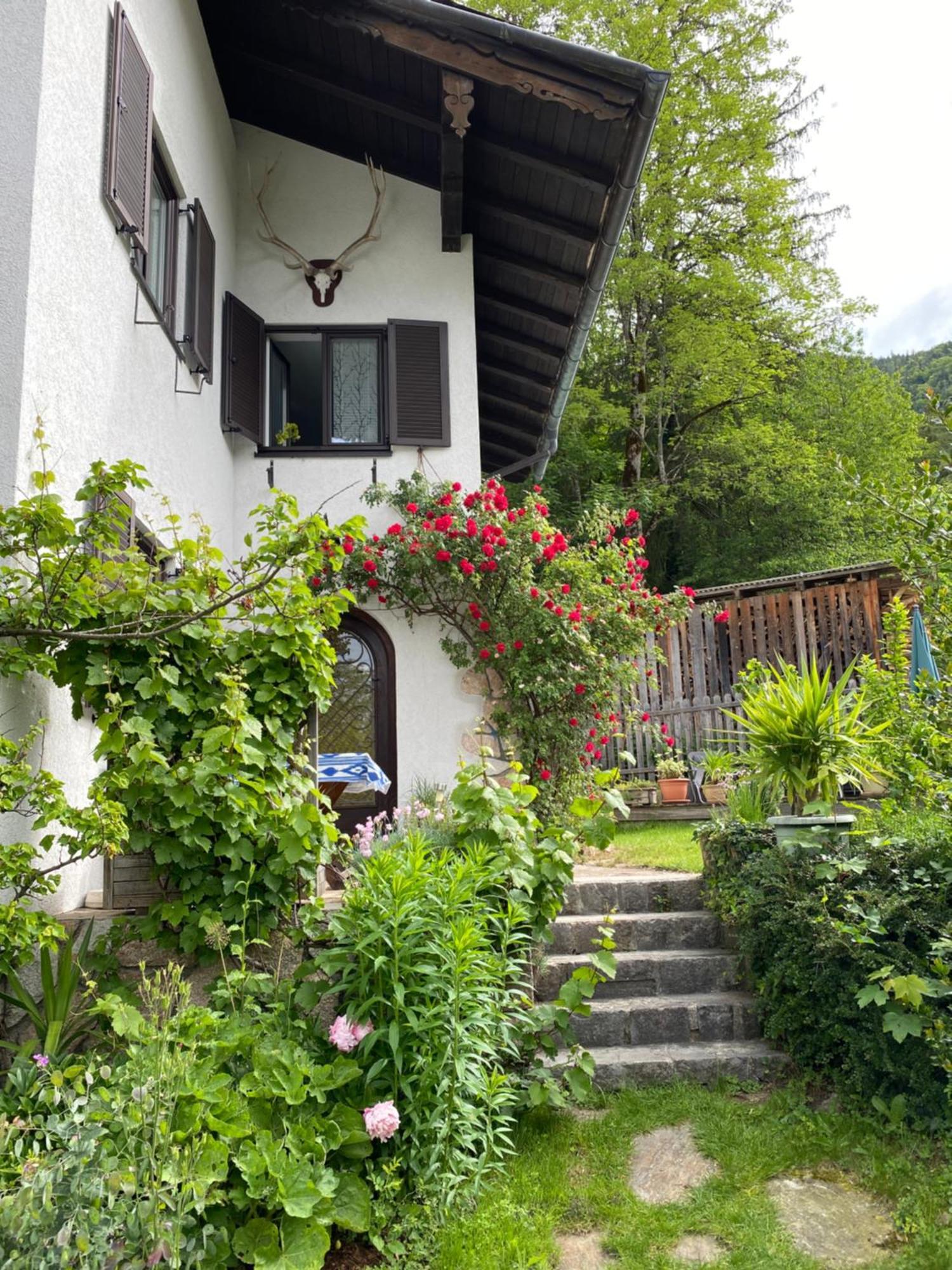 Ferienwohnung Laimer, Radau 37 Saint Wolfgang 외부 사진